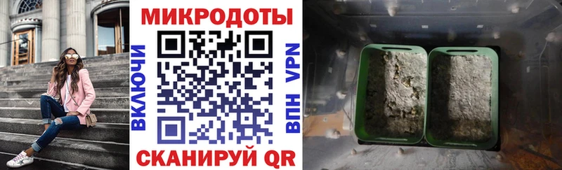 Псилоцибиновые грибы мицелий Спас-Клепики