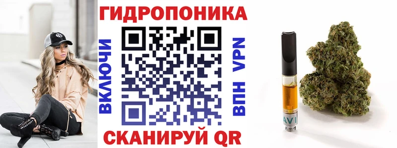 omg tor Спас-Клепики Конопля Amnesia